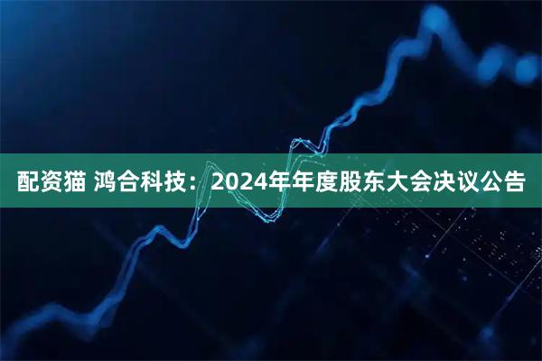 配资猫 鸿合科技：2024年年度股东大会决议公告
